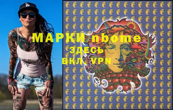 стаф Новозыбков