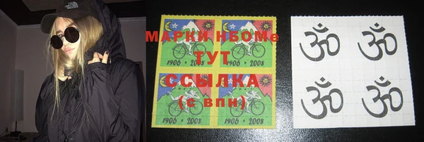 стаф Новозыбков