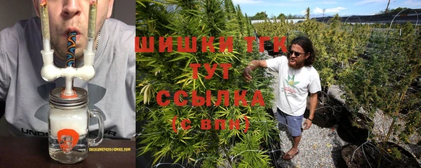 стаф Новозыбков