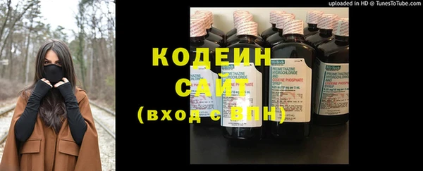 стаф Новозыбков