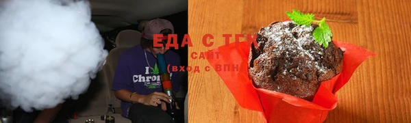 стаф Новозыбков