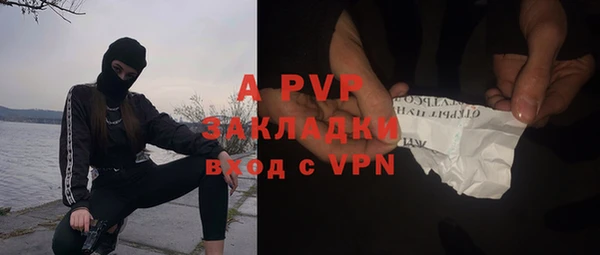 стаф Новозыбков