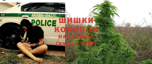 гидропоника Нязепетровск