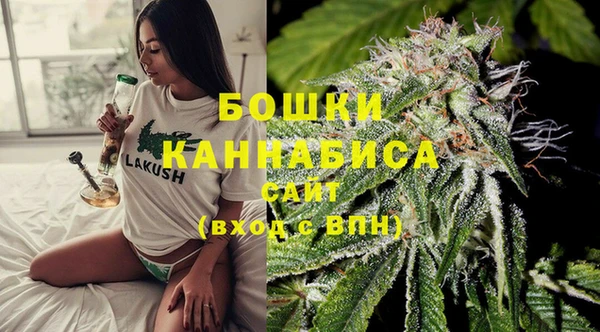 стаф Новозыбков