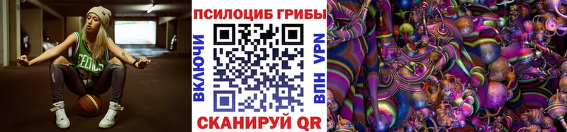 Псилоцибиновые грибы мухоморы  даркнет сайт  Кемь 