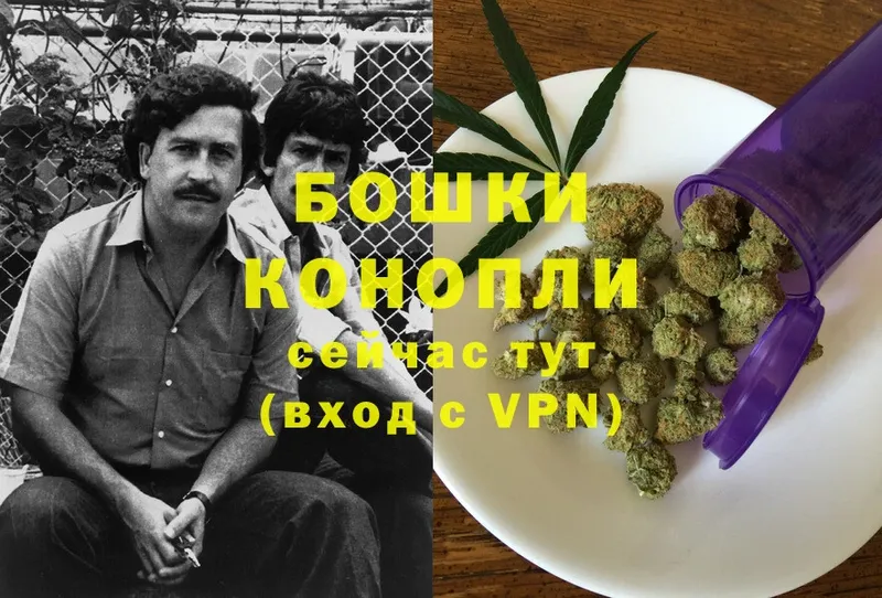 купить закладку  Кемь  Конопля OG Kush 