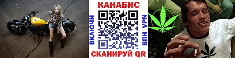 где можно купить   blacksprut ссылка  Бошки марихуана Bruce Banner  Кемь 